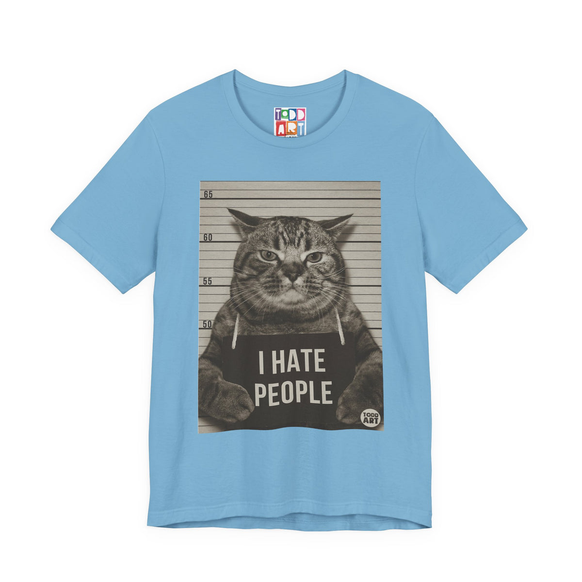 i-hate-people-cat