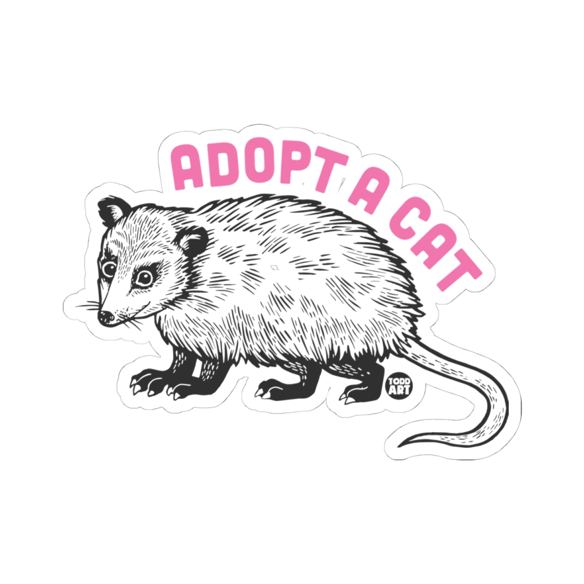 adopt-a-cat-possum