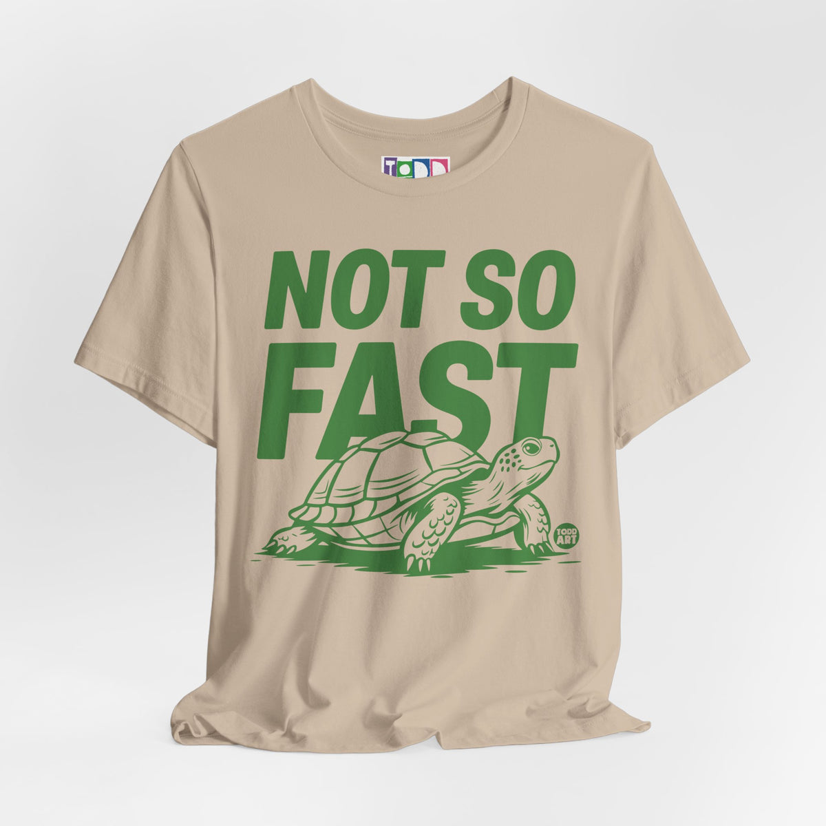 not-so-fast-turtle