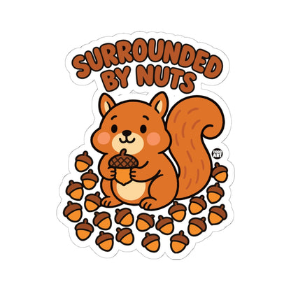 surrounded-nuts-cute
