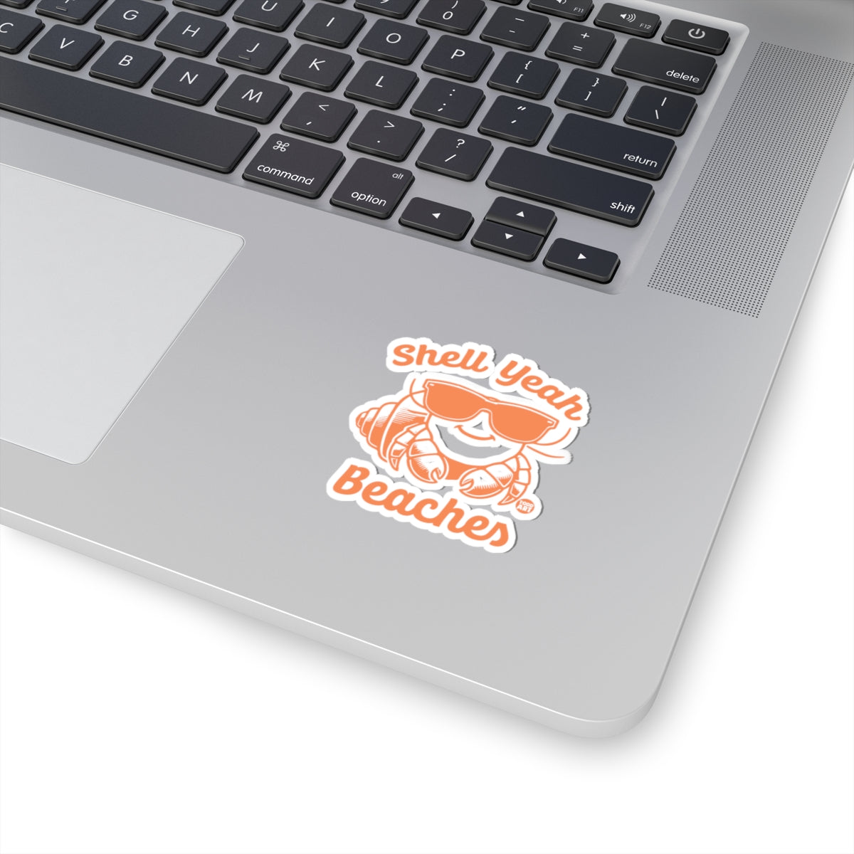 BeachesTodd Art Sticker