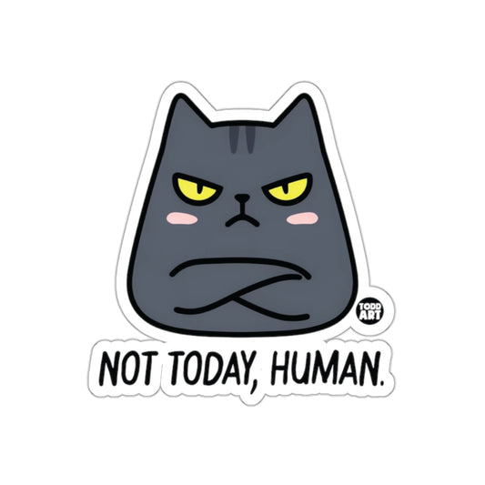 NOT TODAY HUMAN Grumpy Cat Sticker Fun Decal Art