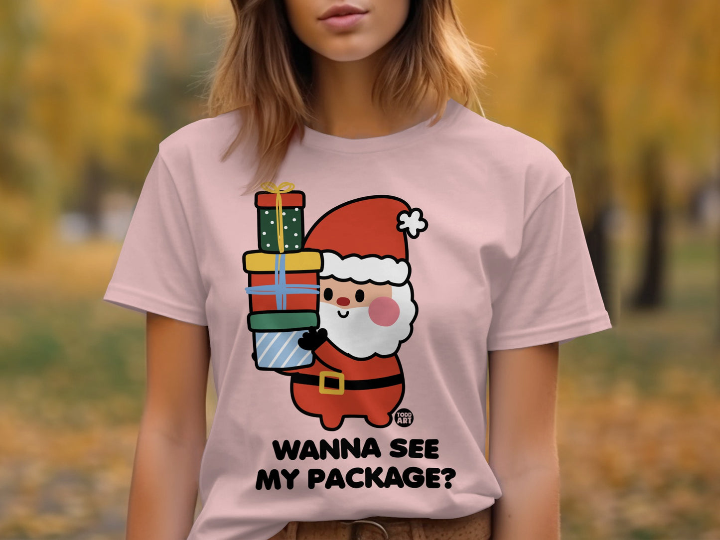 Cute Santa Cartoon Wanna See My Package T-shirt