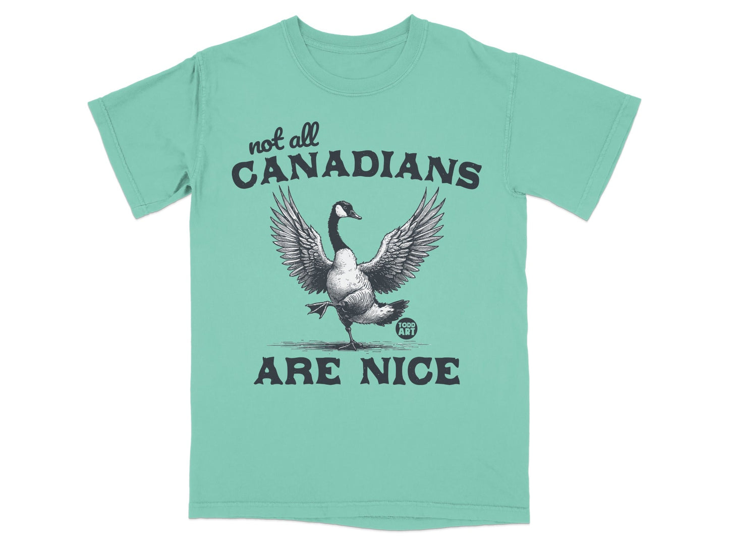 Not All Canadians Are Nice Statement T-Shirt