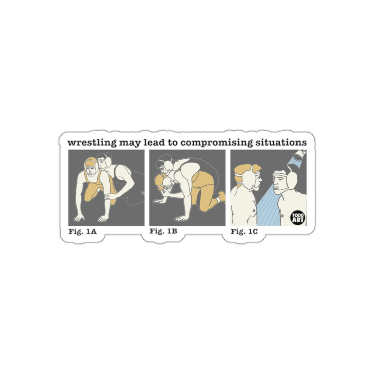 Wrestling May Lead to Compromising Situations sticker
