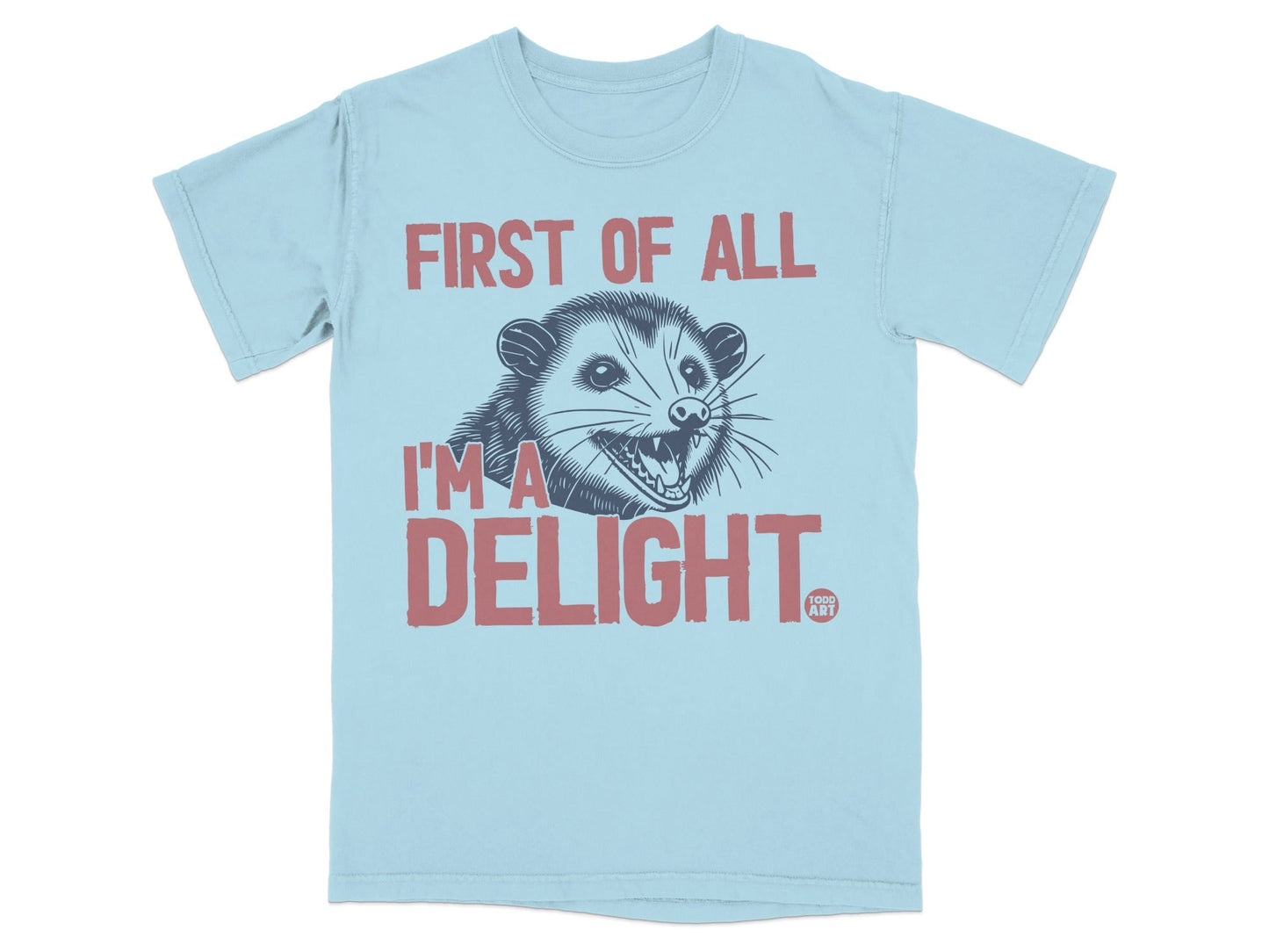 Light blue t-shirt with distressed graphic of a possum and text "FIRST OF ALL I'M A DELIGHT".