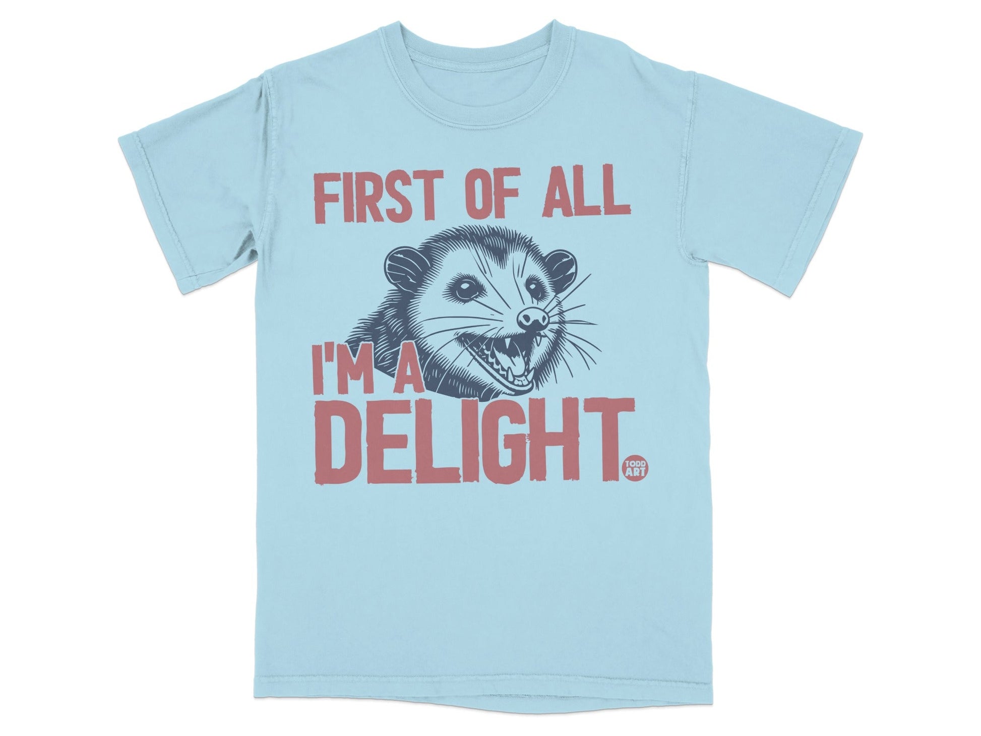 Light blue t-shirt with distressed graphic of a possum and text "FIRST OF ALL I'M A DELIGHT".