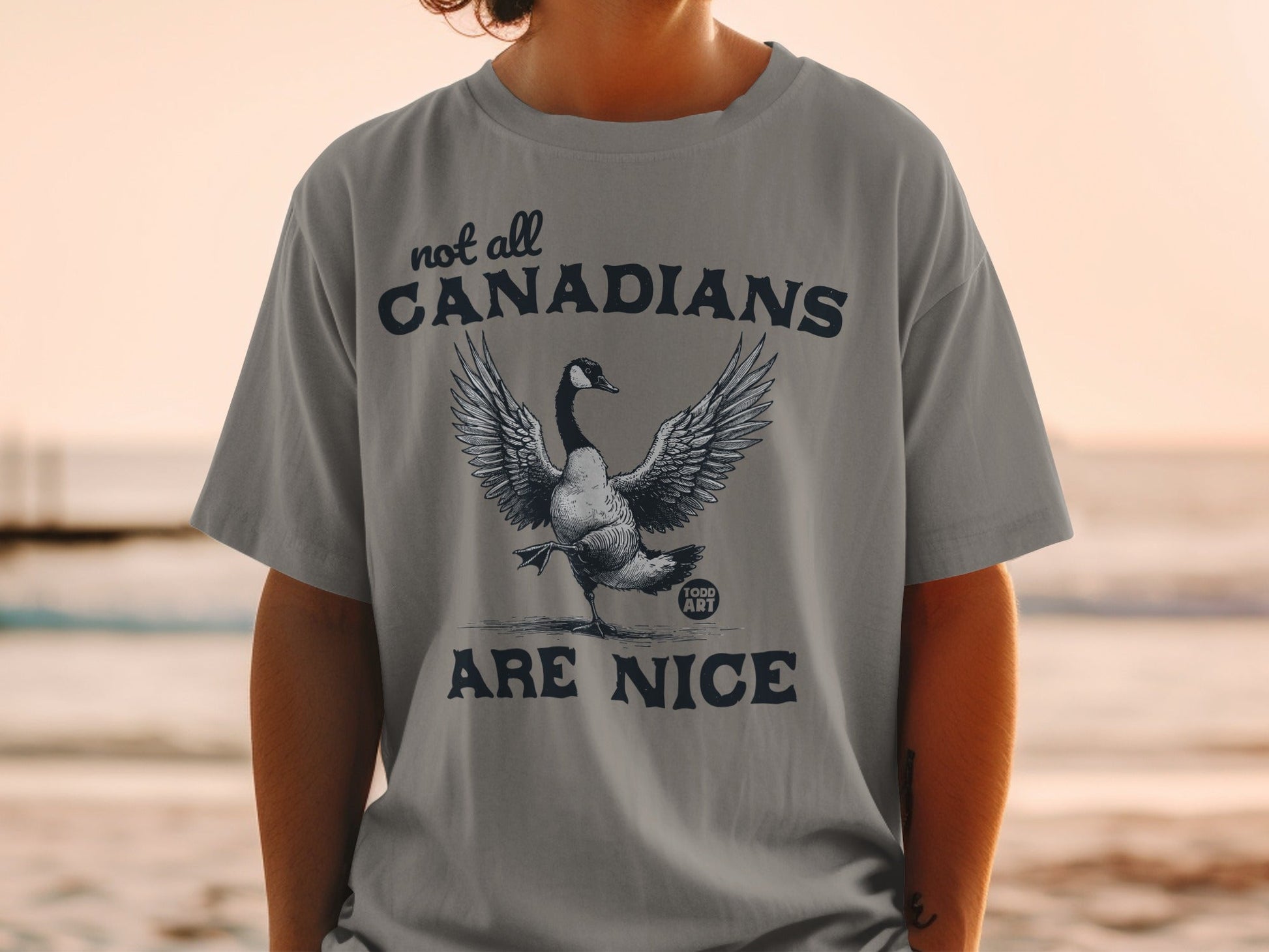 Not All Canadians Are Nice Funny Goose Statement Shirt