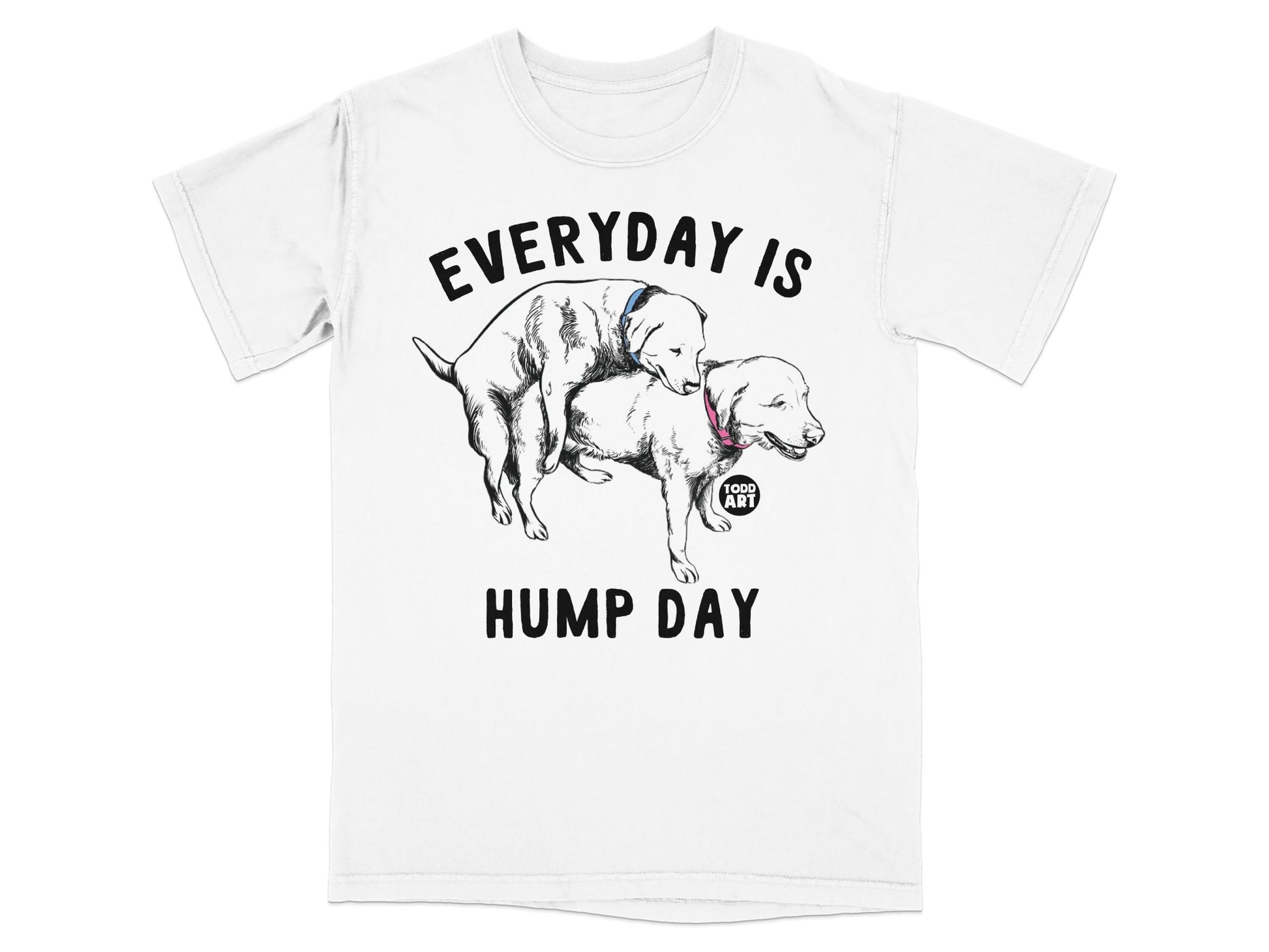 Everyday is Hump Day Funny Graphic T-shirt