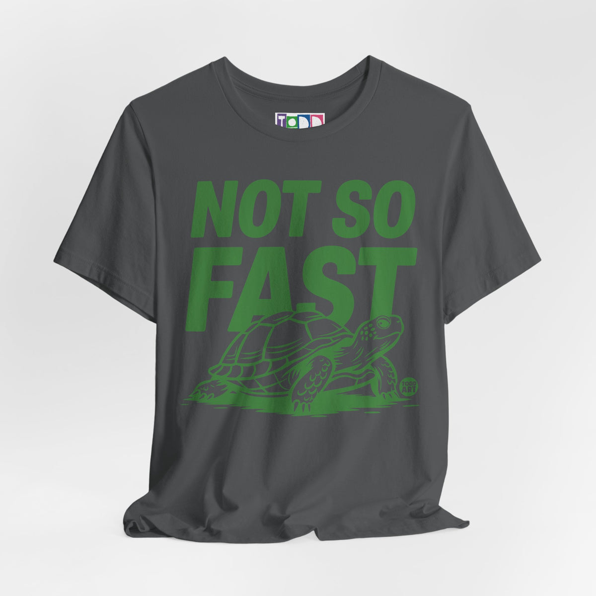 not-so-fast-turtle