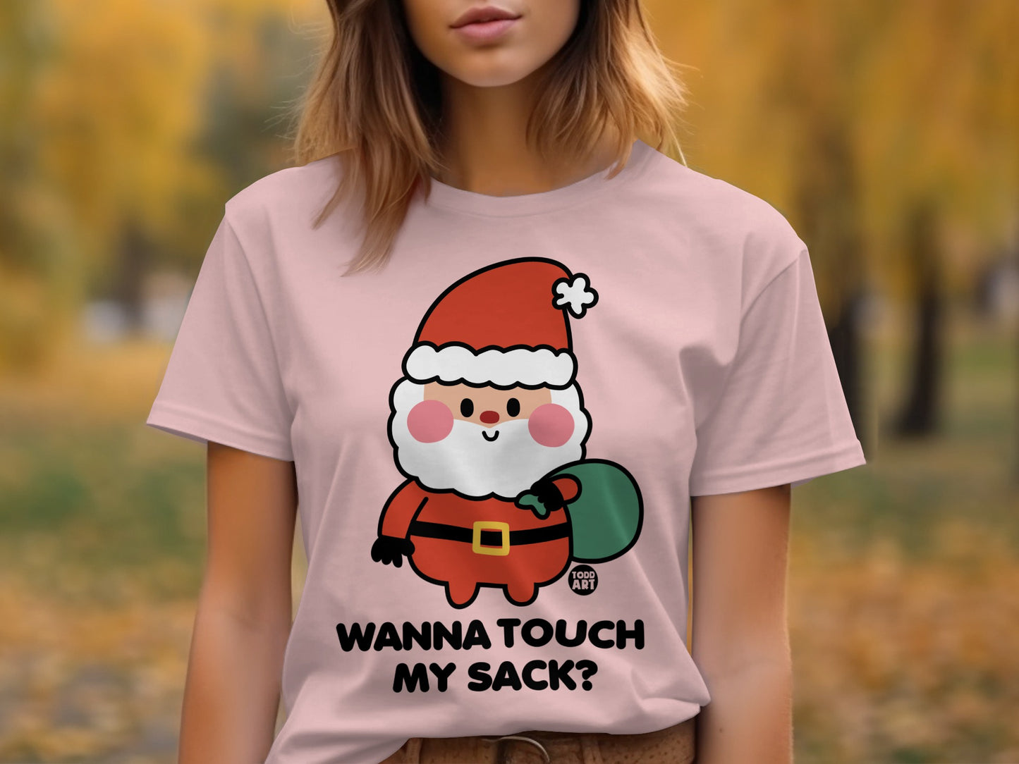 Wanna Touch My Sack Funny Santa T-Shirt