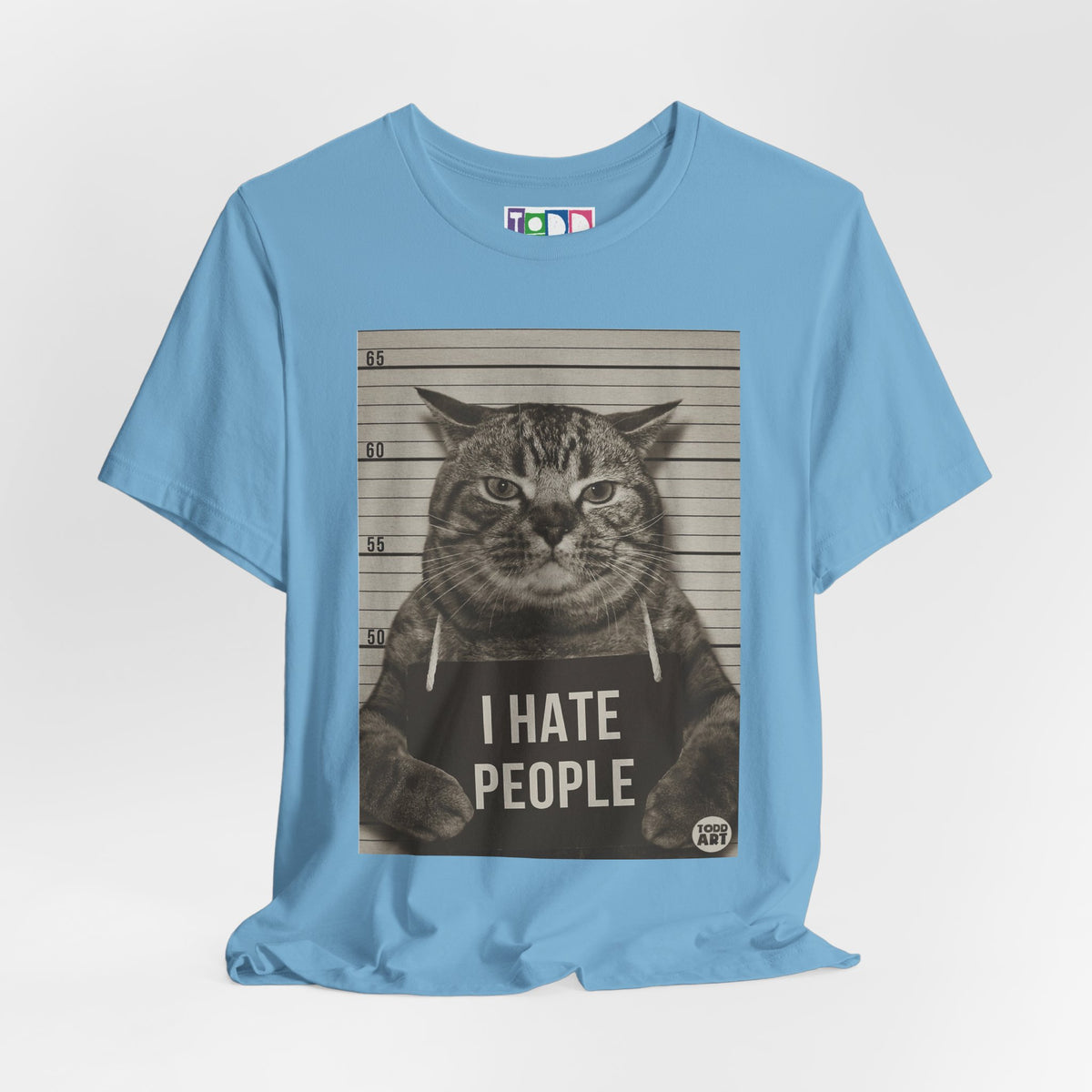 i-hate-people-cat