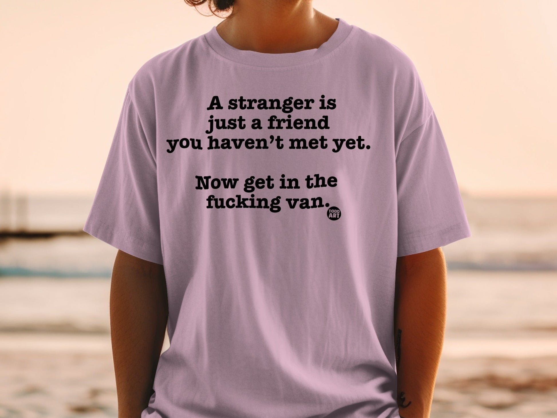 A Stranger Is a Friend Get in the Van Funny T-Shirt