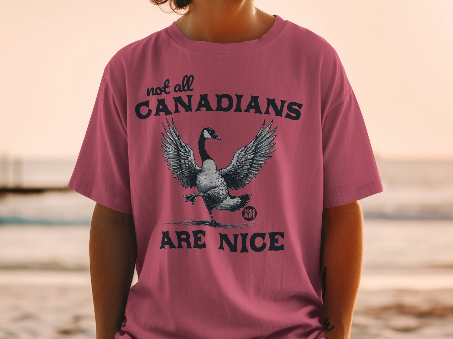 Not All Canadians Are Nice Funny Pink T-shirt