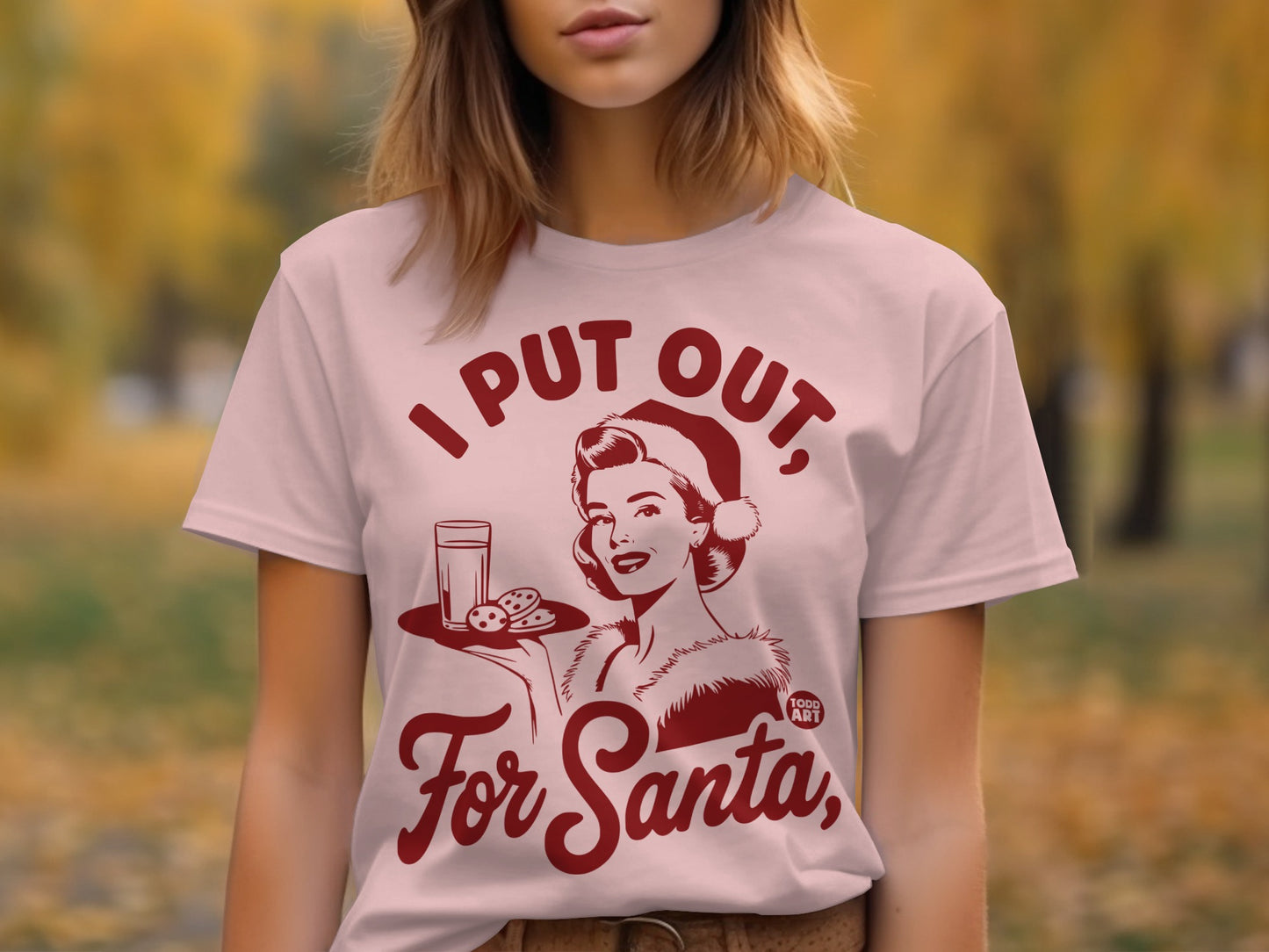 I Put Out For Santa Holiday T-Shirt