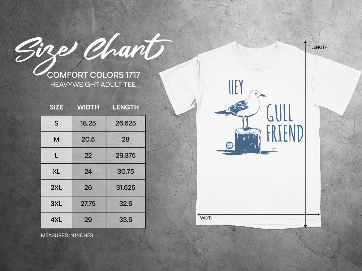 Hey Gull Friend Comfort Colors 1717 Adult Tee