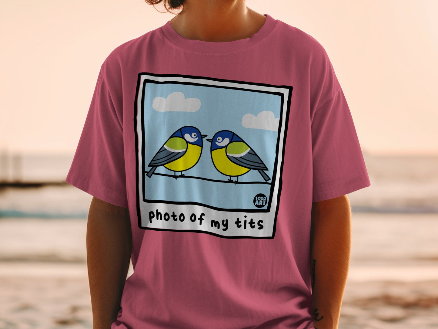 Two blue tits perched on a wire, on a t-shirt.