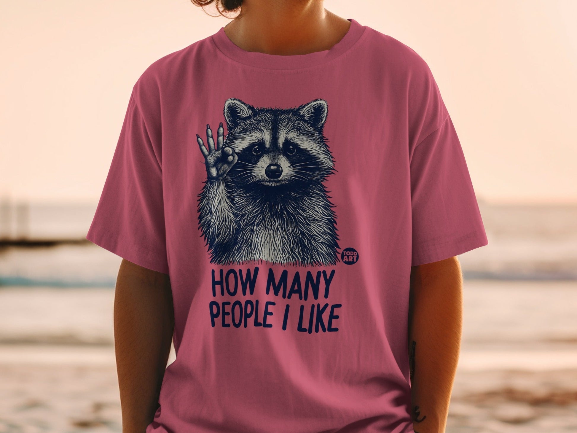 Pink t-shirt with raccoon graphic and "HOW MANY PEOPLE I LIKE" text.