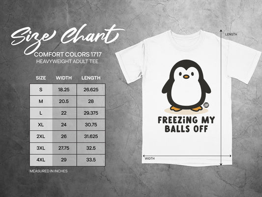 Comfort Colors 1717 size chart for heavyweight adult tees.