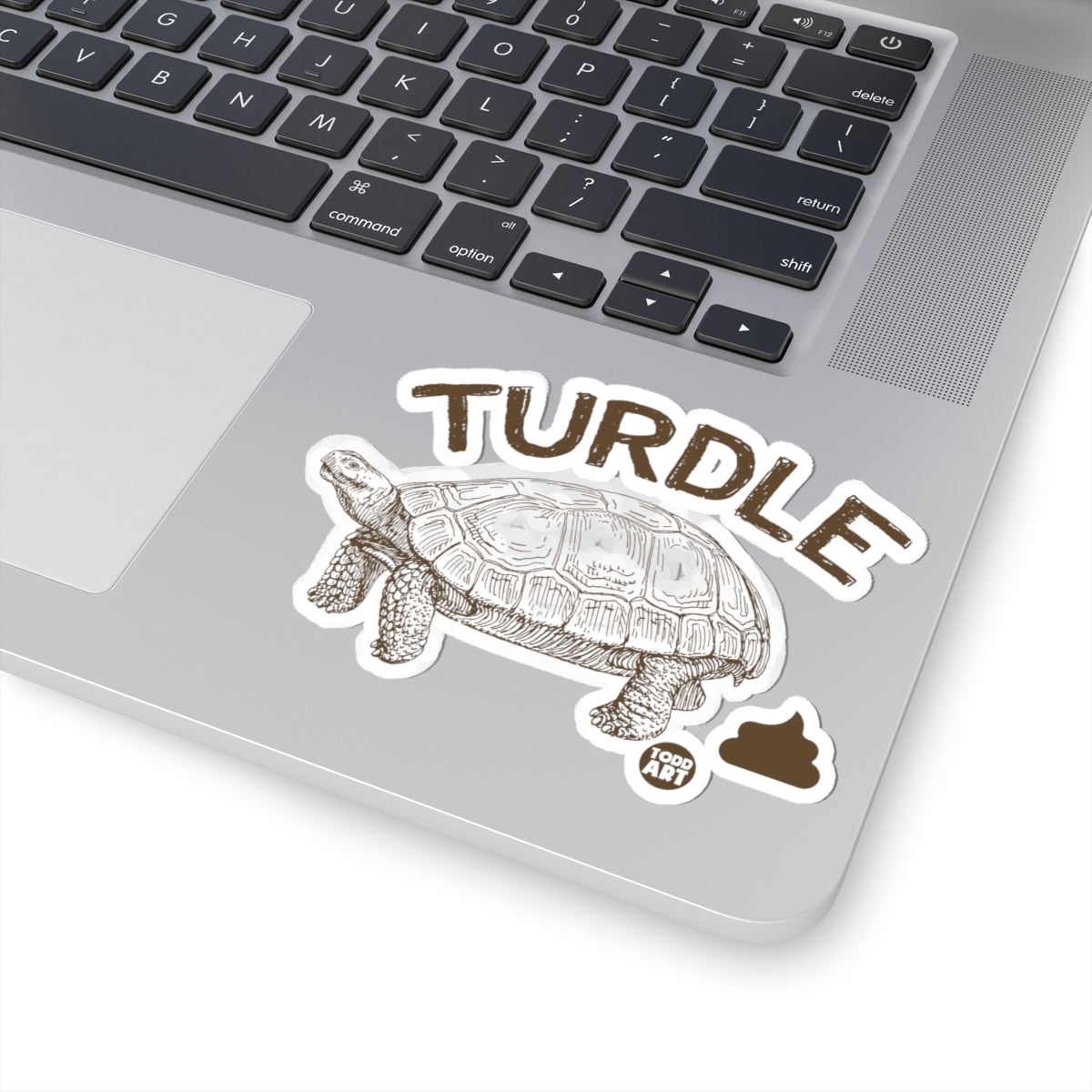 Turdle Todd Art Sticker