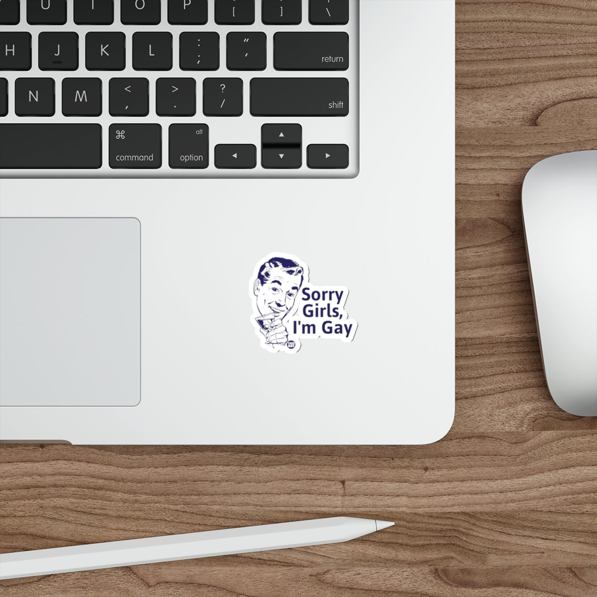 Sorry Girls I'm Gay Funny Sticker for Laptops or Notebooks