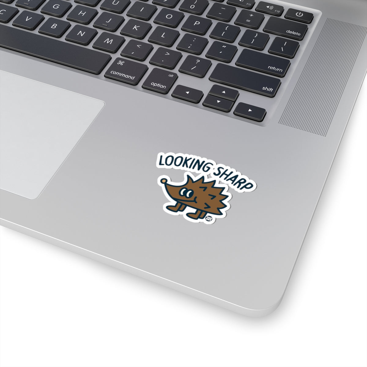 Looking SharpTodd Art Sticker