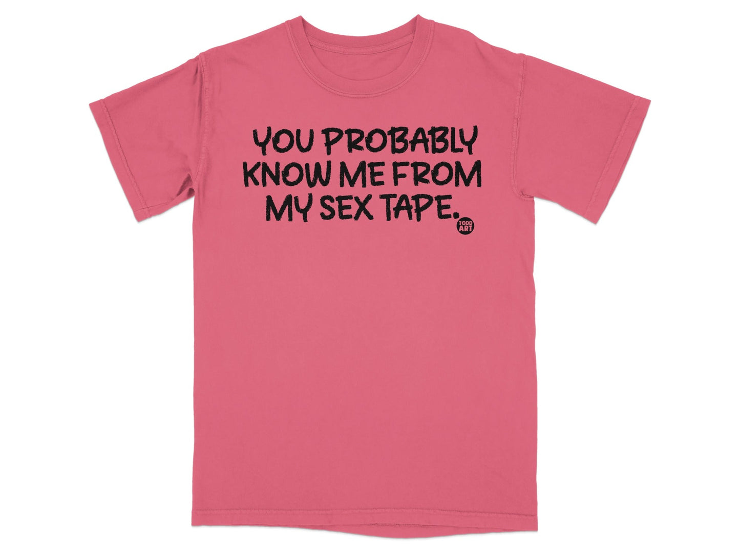 You Probably Know Me From My Sex Tape T-Shirt