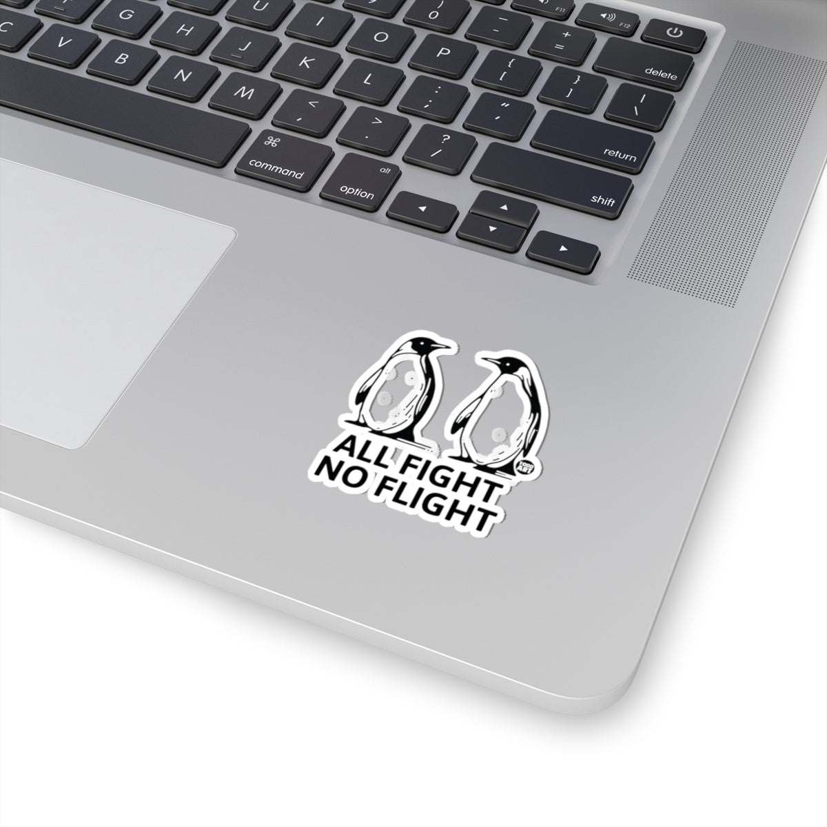 all-fight-no-flight
