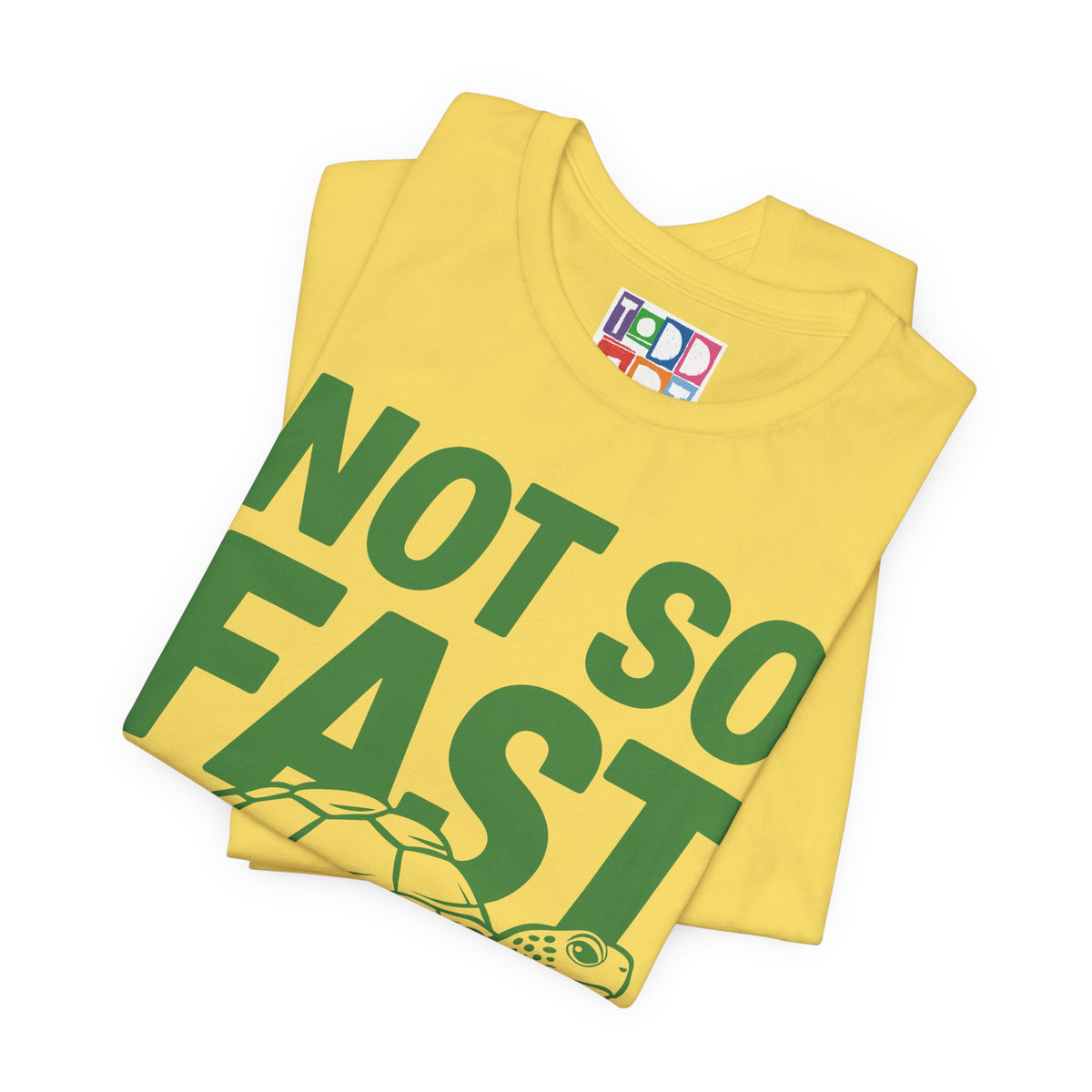 not-so-fast-turtle