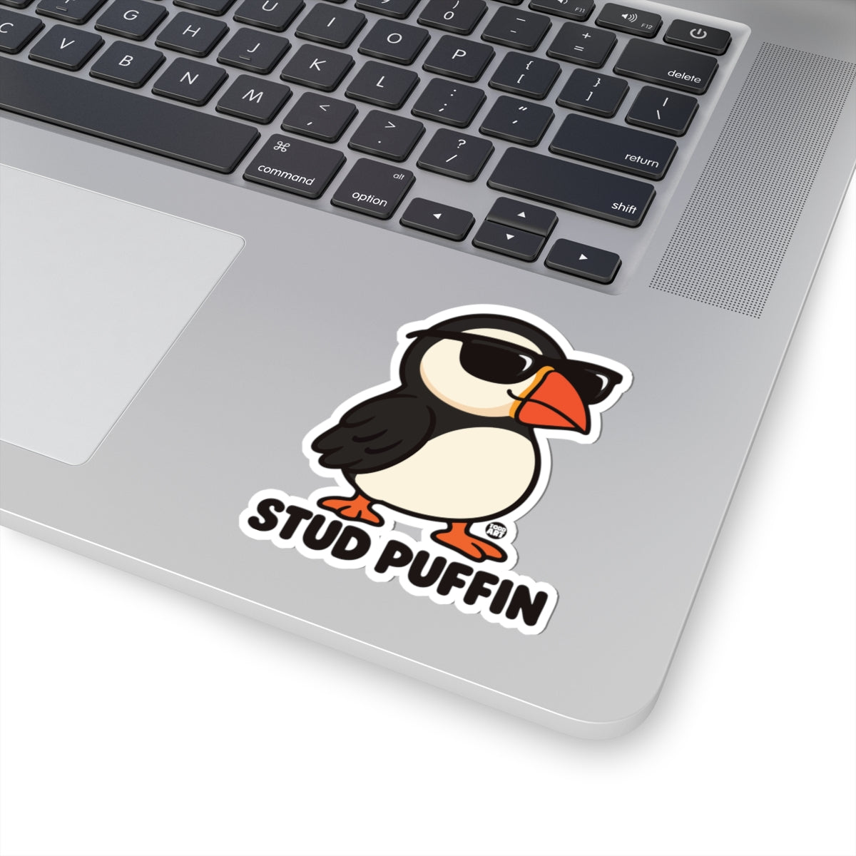 stud-puffin-cute