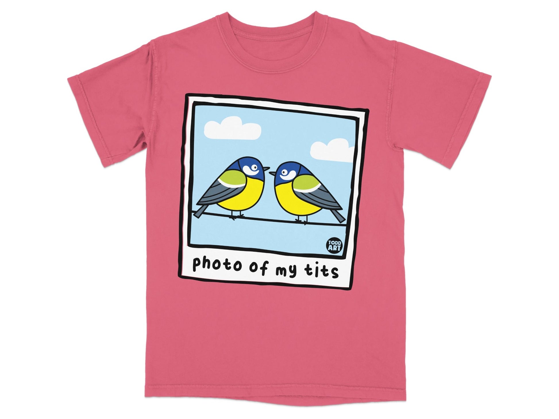 Two blue and yellow birds on a wire, with "photo of my tits" text.