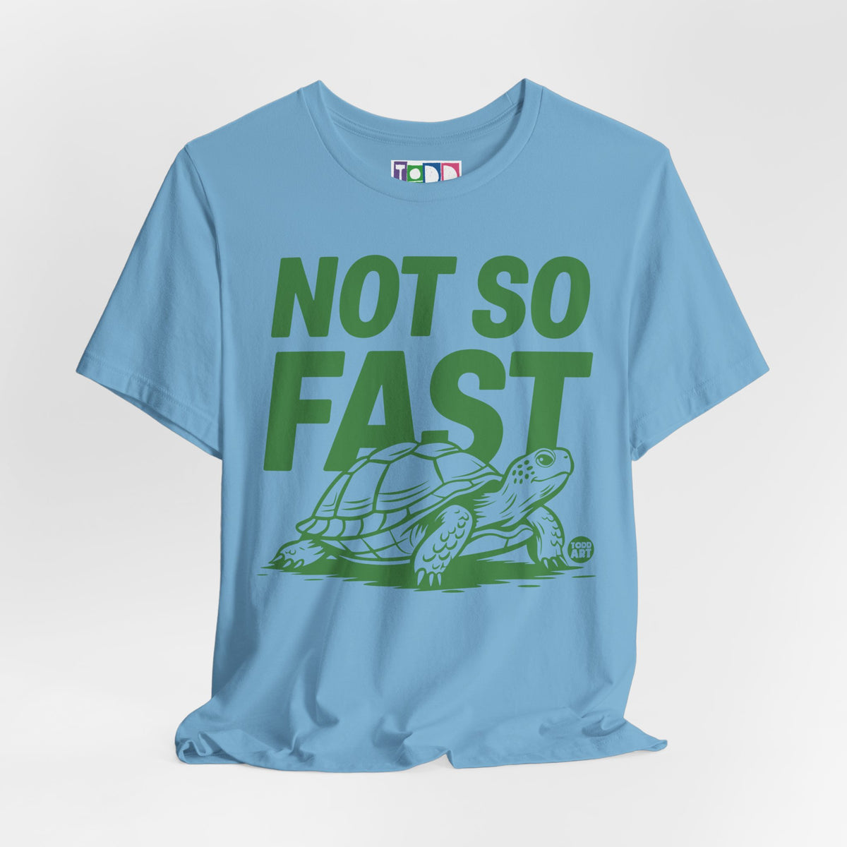 not-so-fast-turtle
