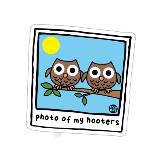 Photo Of My Hooters Todd Art Owl Birds Polaroids sticker