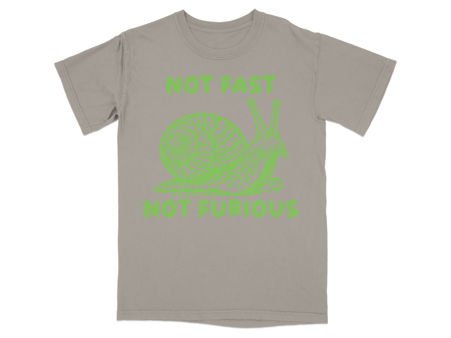 Not Fast Not Furious Snail Graphic T-Shirt