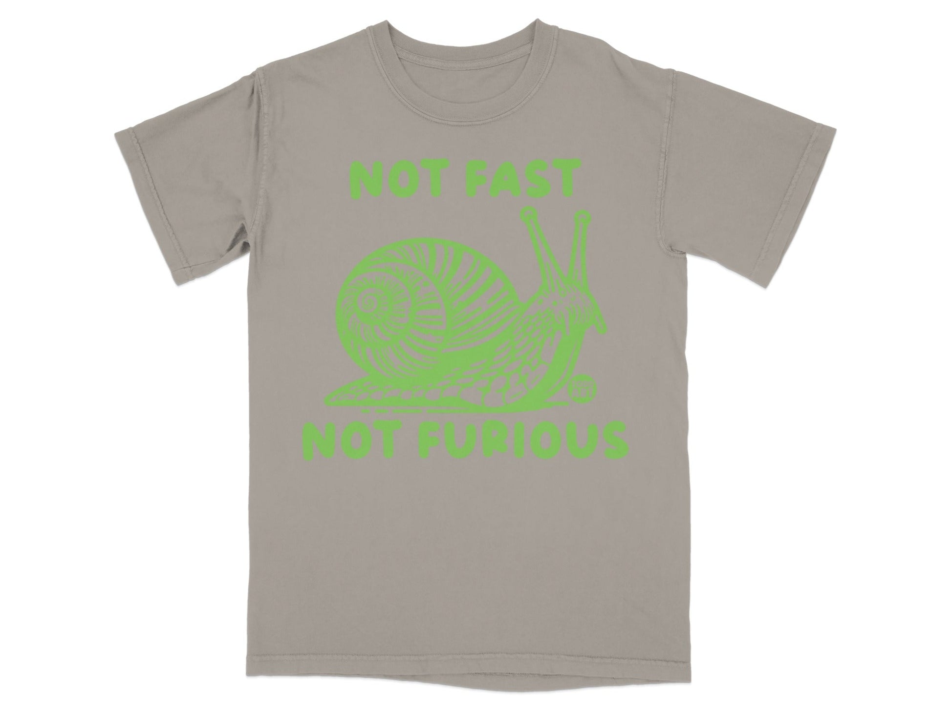 Not Fast Not Furious Snail Graphic T-Shirt