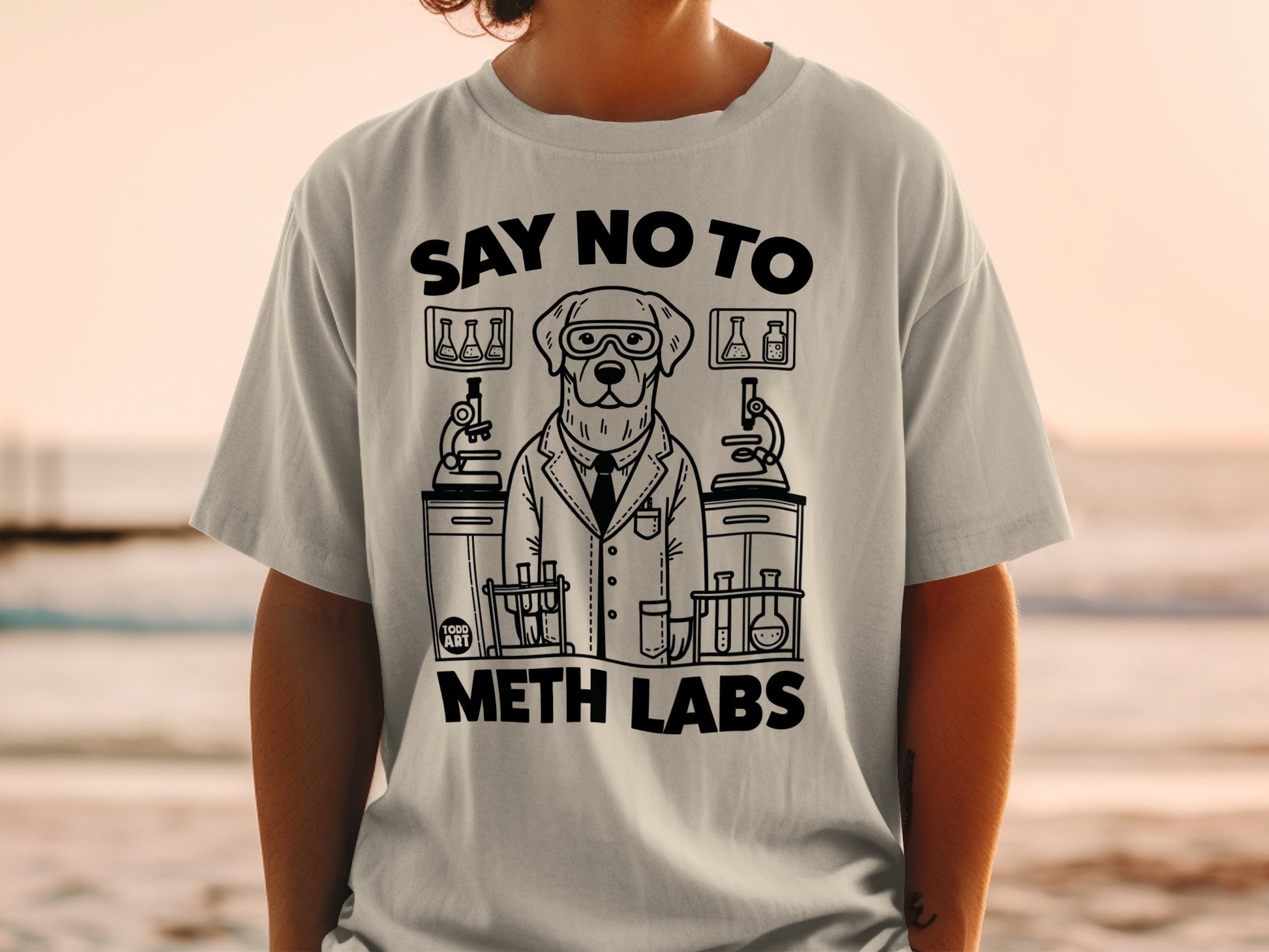 Say No to Meth Labs Funny Graphic Tee Shirt