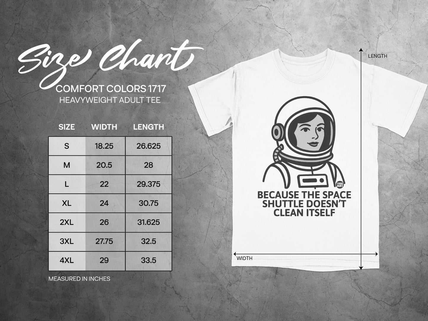 'Space Shuttle Doesn't Clean Itself Graphic Tee'