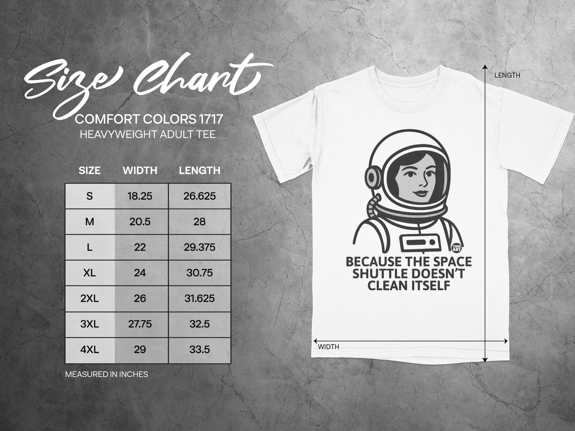 'Space Shuttle Doesn't Clean Itself Graphic Tee'