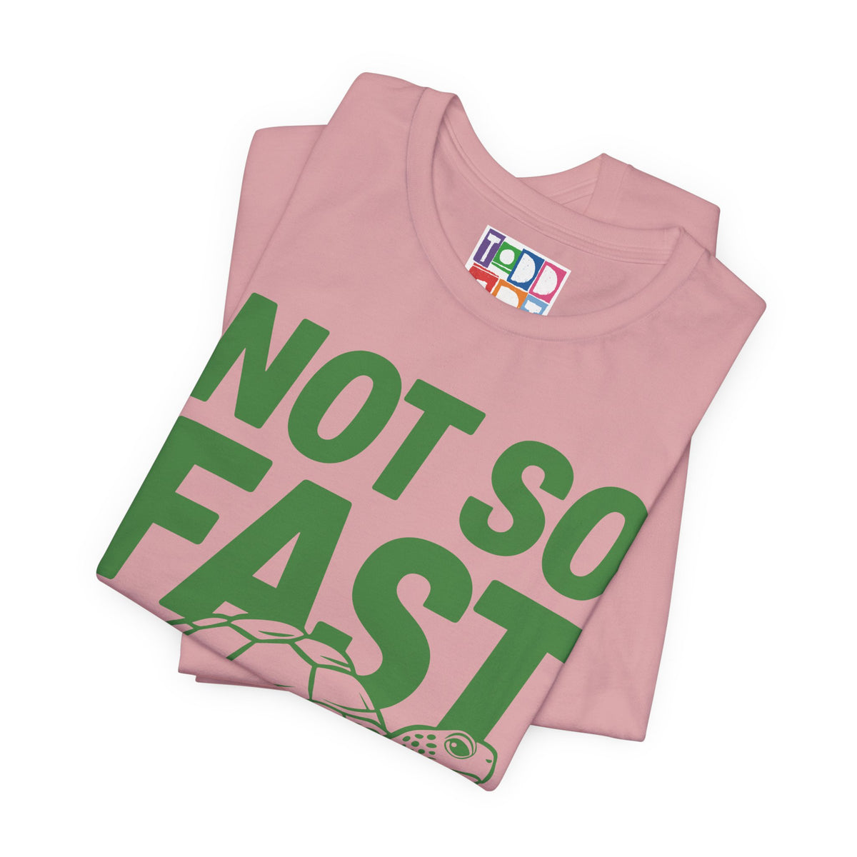 not-so-fast-turtle