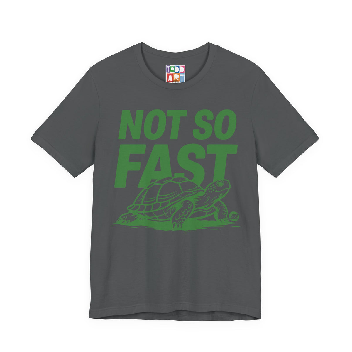 not-so-fast-turtle