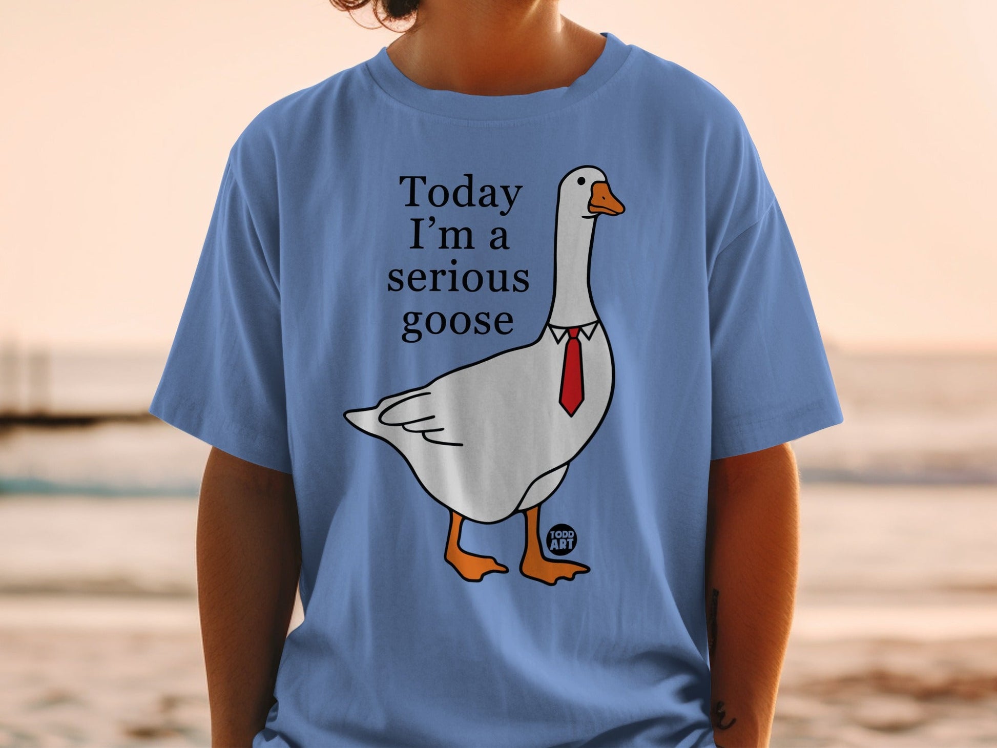 Today I'm a Serious Goose Graphic T-shirt