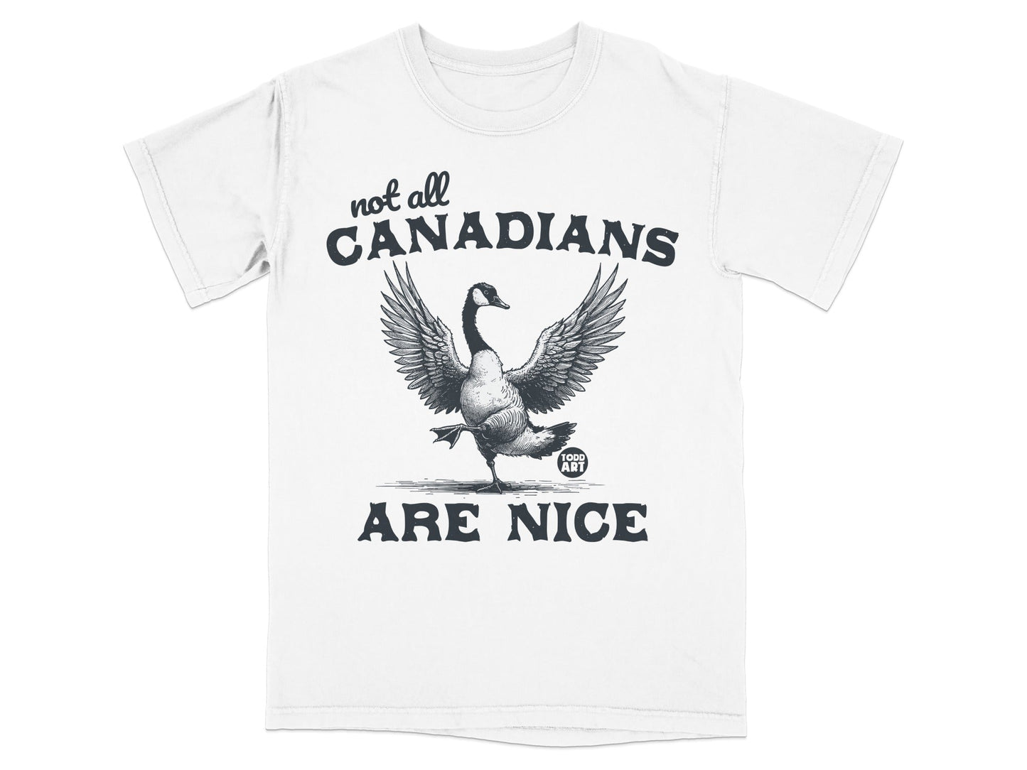Not All Canadians Are Nice Graphic Tee Product