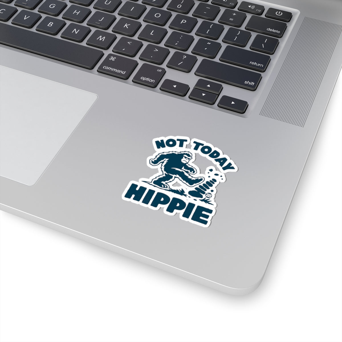 not today hippie