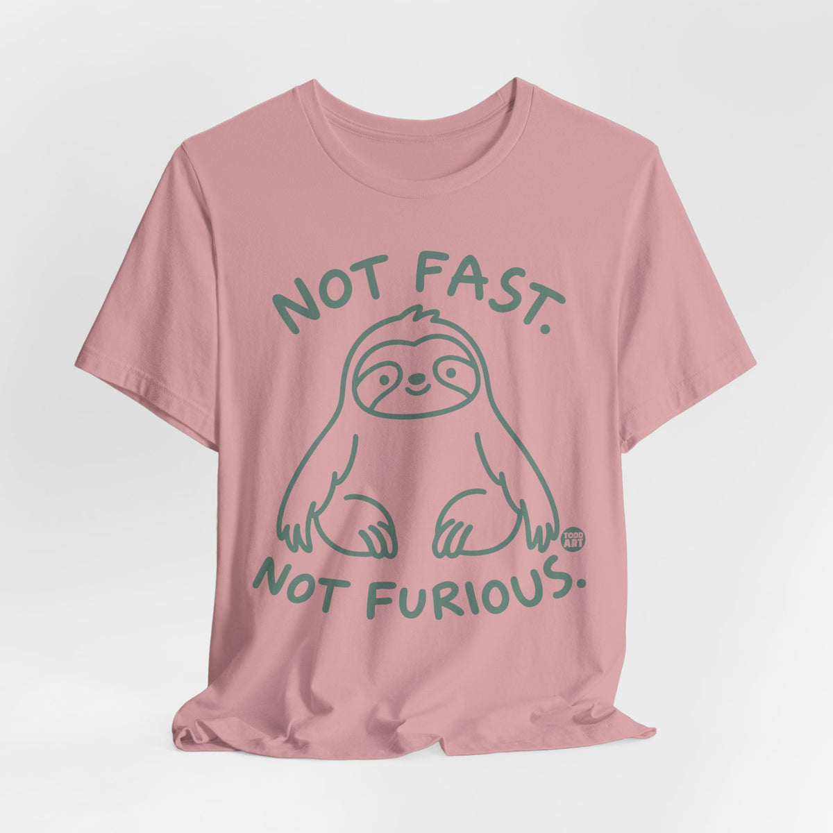 not-fast-furious