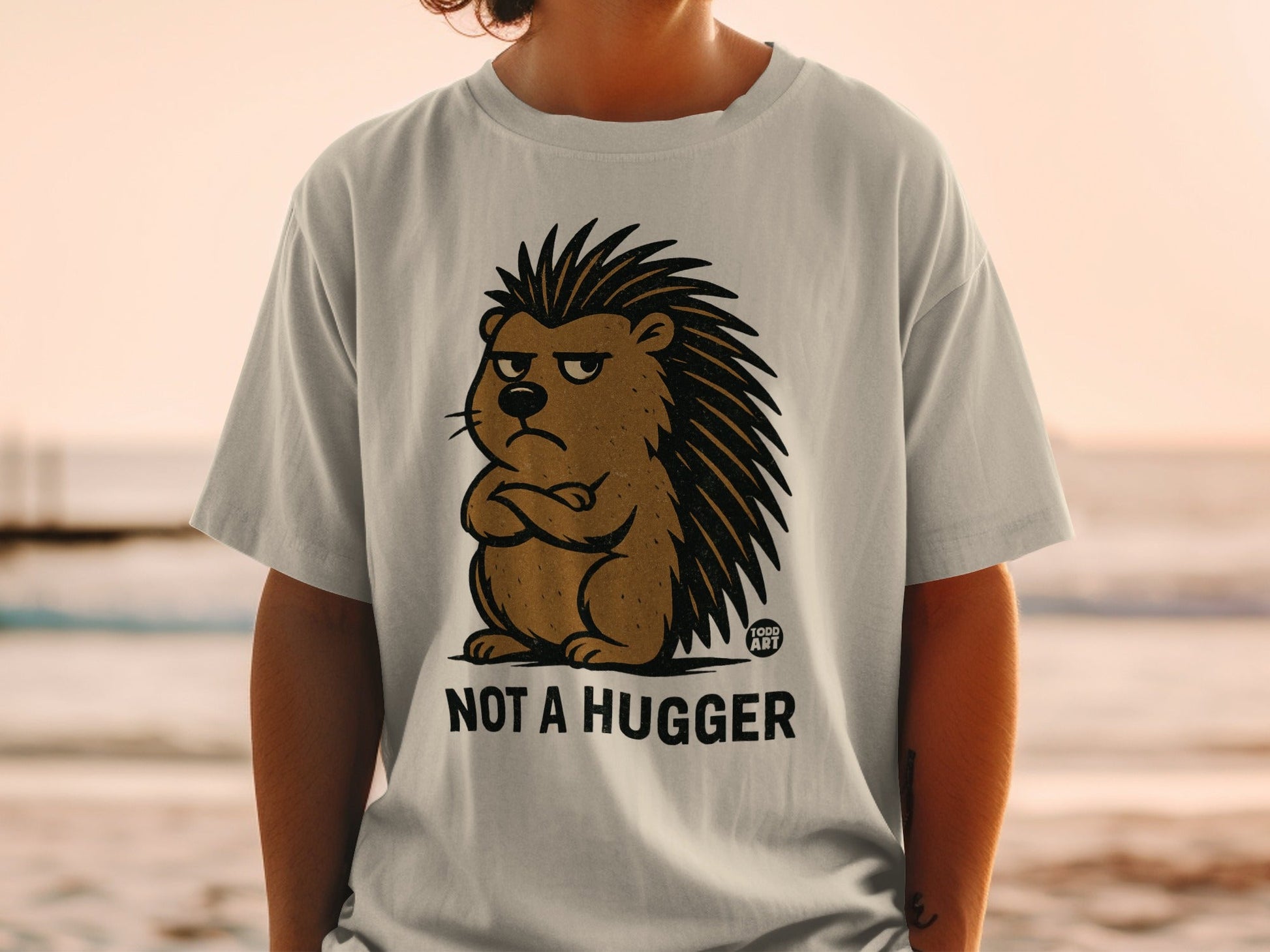 Not A Hugger Funny Grumpy Hedgehog Graphic T-shirt