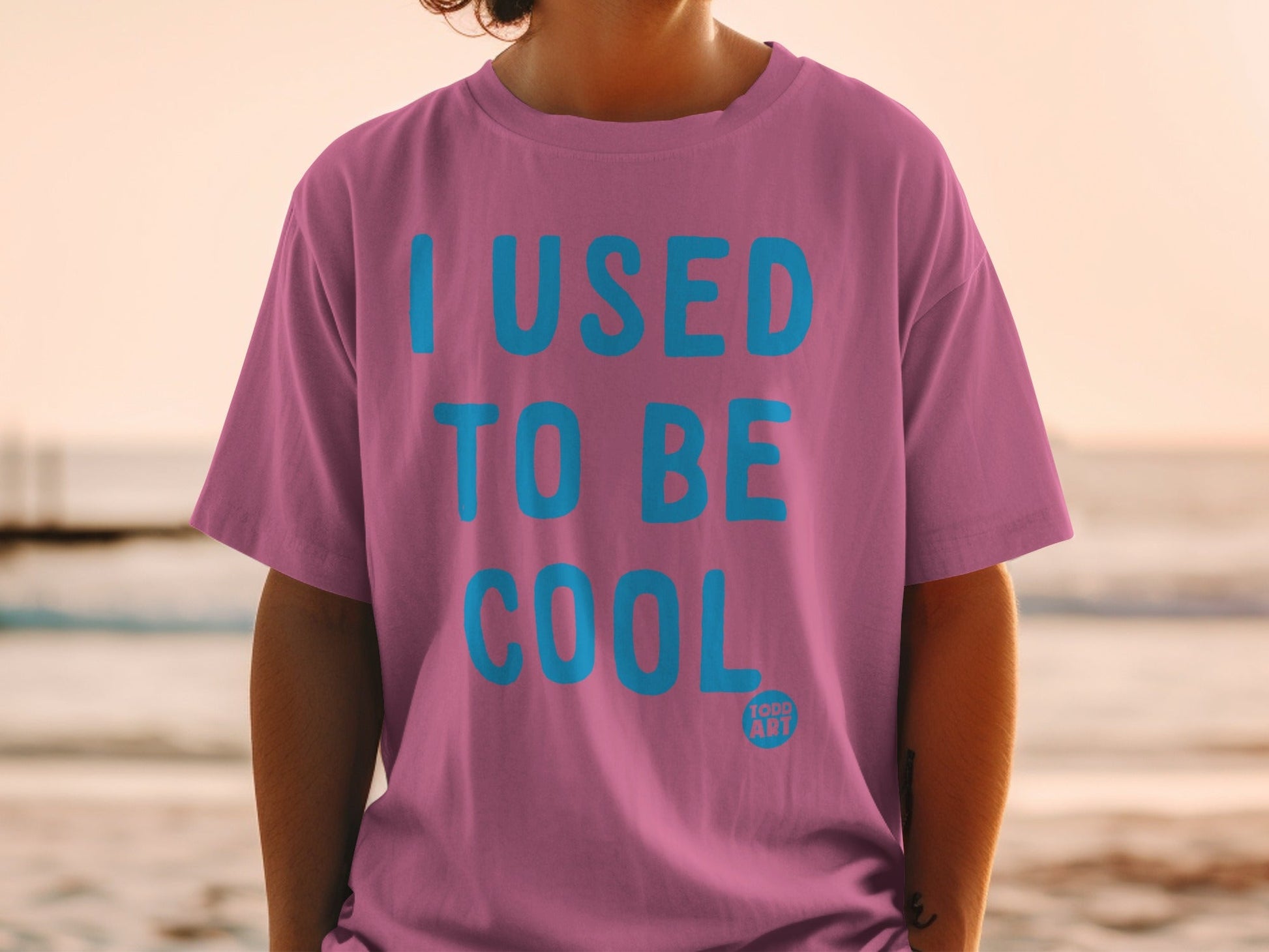 I Used To Be Cool Todd Art Graphic T-Shirt