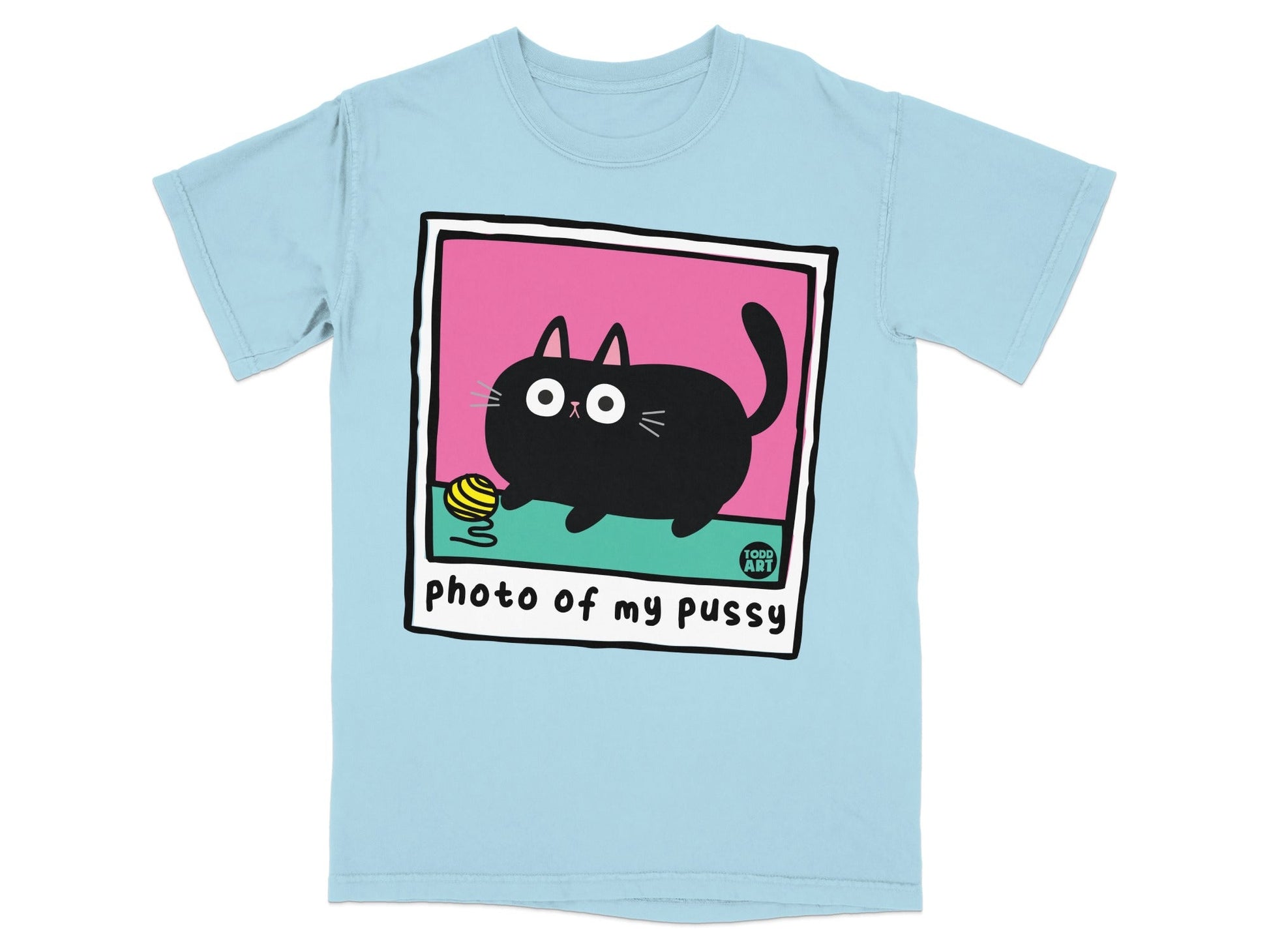 T-shirt with cartoon black cat holding a ball of yarn and text "photo of my pussy".