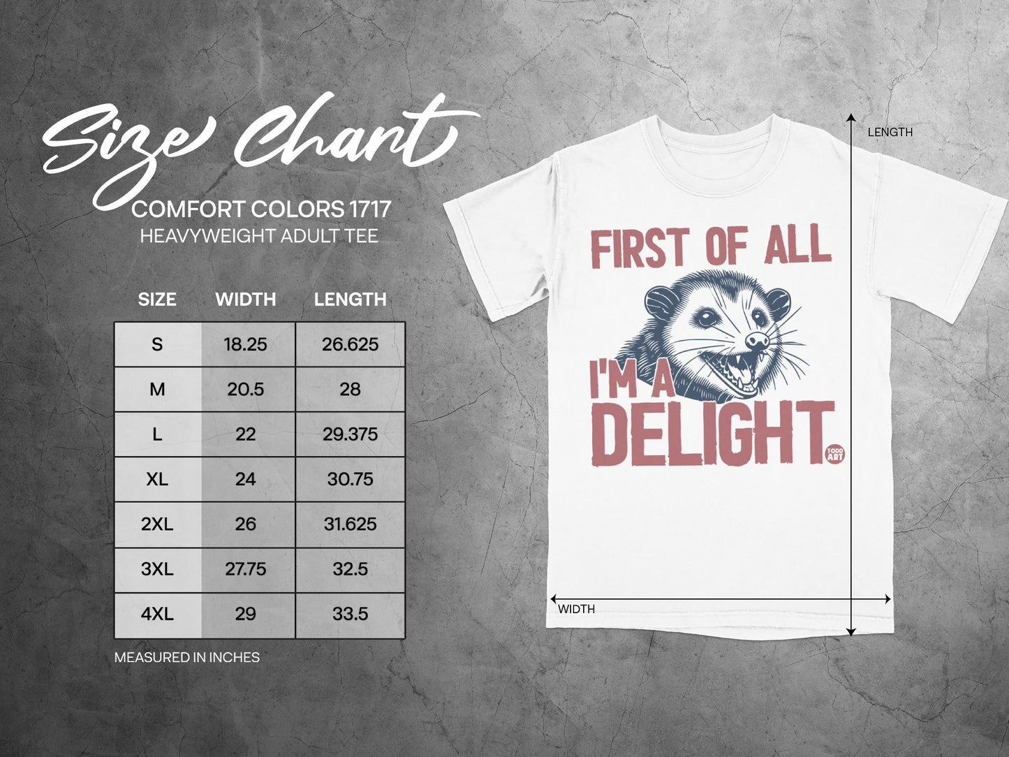 Comfort Colors 1717 size chart with opossum graphic and measurements.