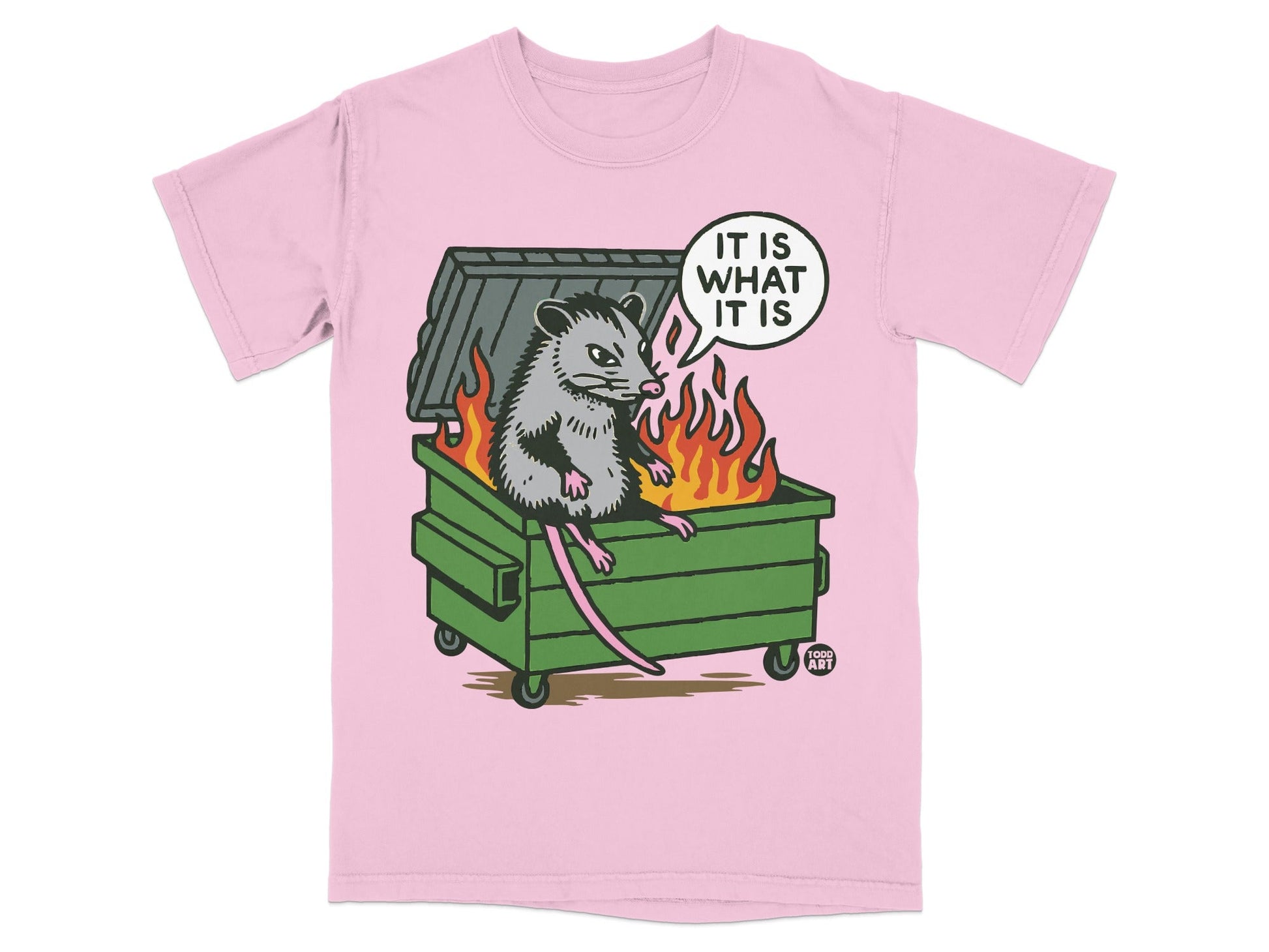 Opossum sitting in a burning dumpster with speech bubble saying "It is what it is."