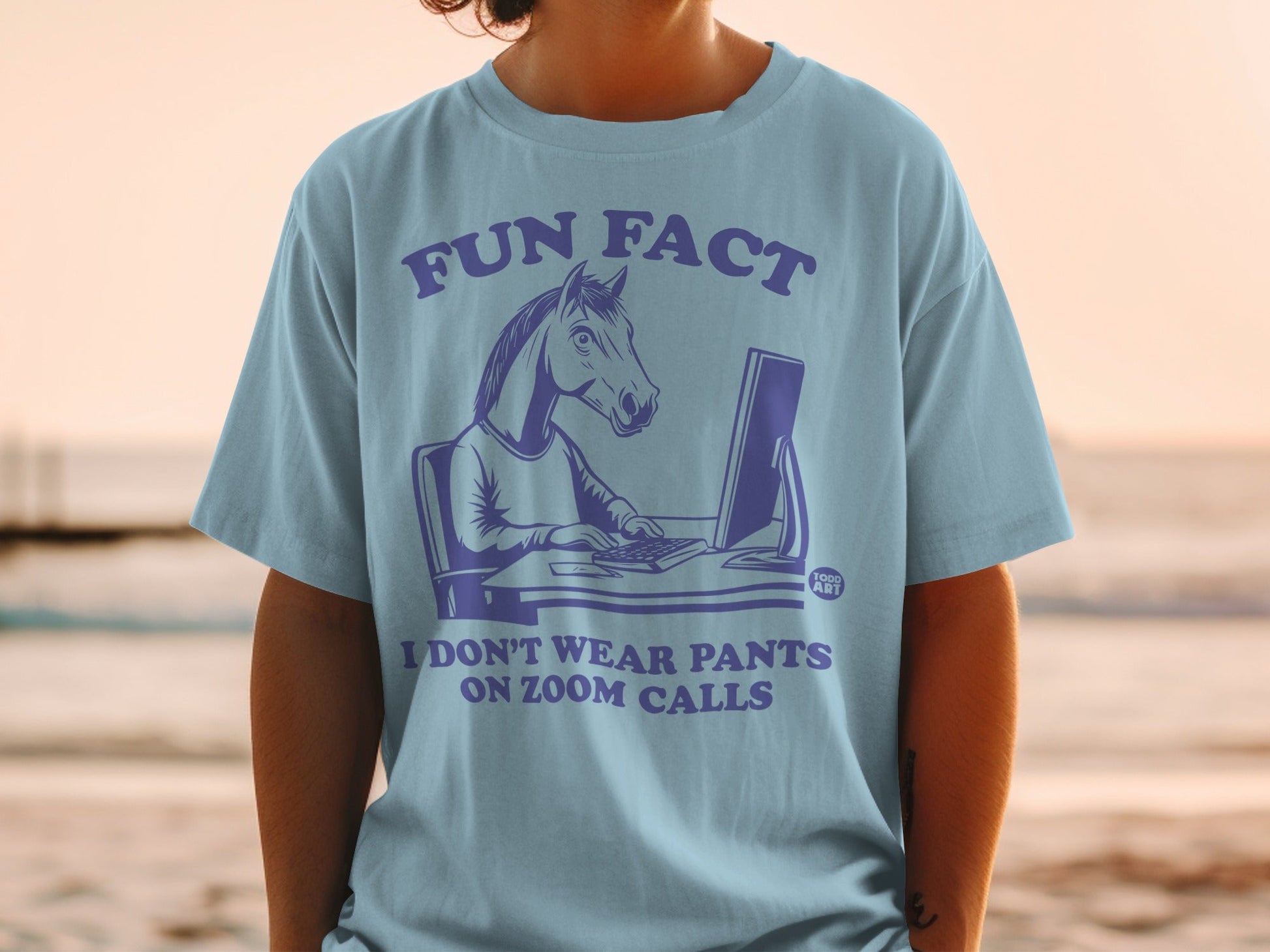 Fun Fact I Don't Wear Pants On Zoom Calls Shirt